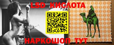 ПСИЛОЦИБИНОВЫЕ ГРИБЫ Апшеронск