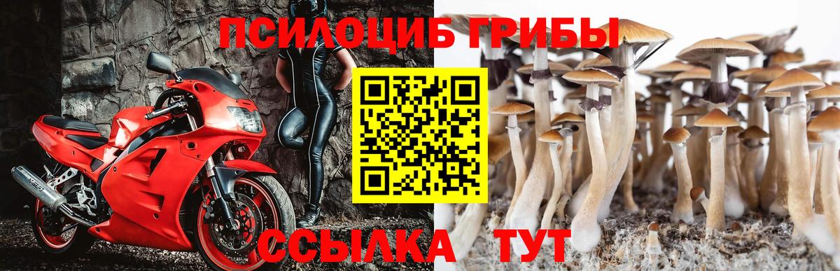 Псилоцибиновые грибы Magic Shrooms  Вход с VPN  даркнет сайт  Вичуга 